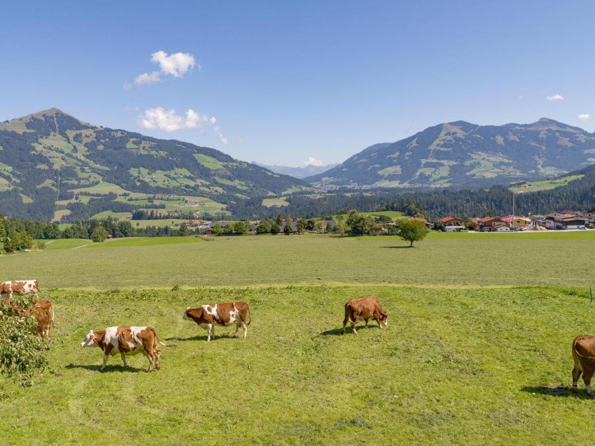 Appartement Salvenblick Hopfgarten im Brixental Esterno foto