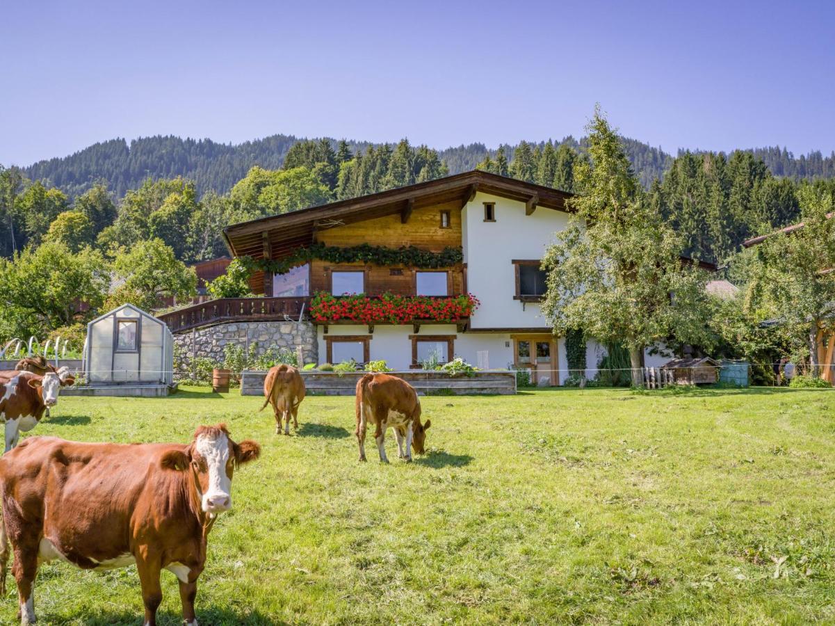 Appartement Salvenblick Hopfgarten im Brixental Esterno foto